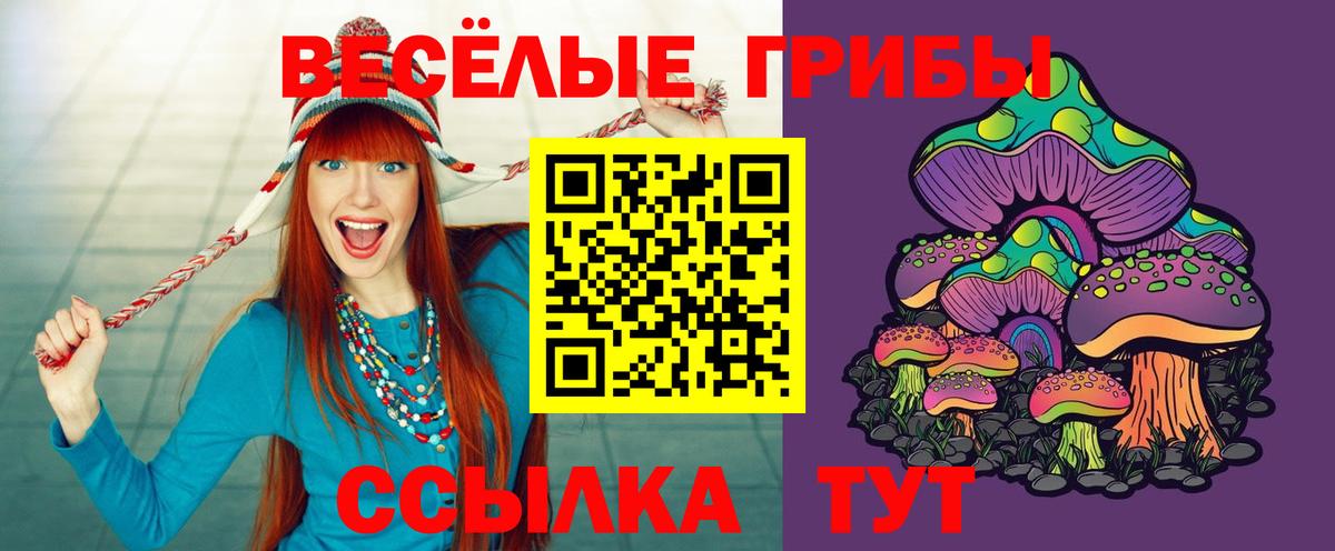 Галлюциногенные грибы Cubensis Бугуруслан
