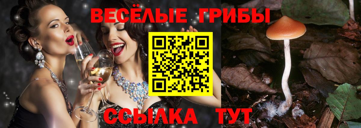 Псилоцибиновые грибы Magic Shrooms  Вход с VPN  Бугуруслан 